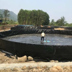 Alternative view of Màng HDPE Chống Thấm